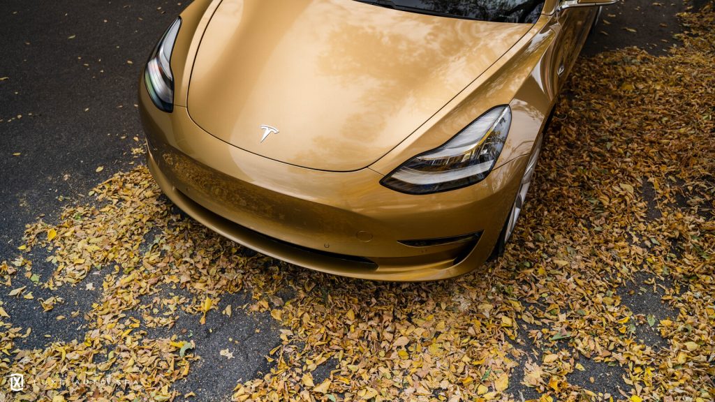 Gold Tesla Wrap